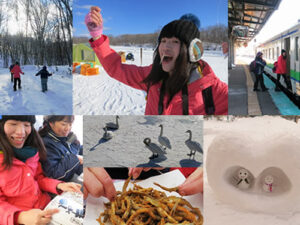 函館近郊－大沼國定公園～在雪地中盡情遊玩