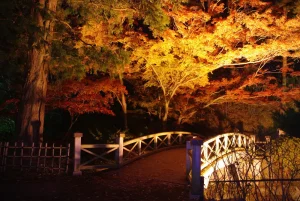 City Parks and the Great Outdoors! 5 Autumn Foliage Spots in Hakodate