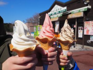 Have some delicious Soft serve ice cream in Hakodate